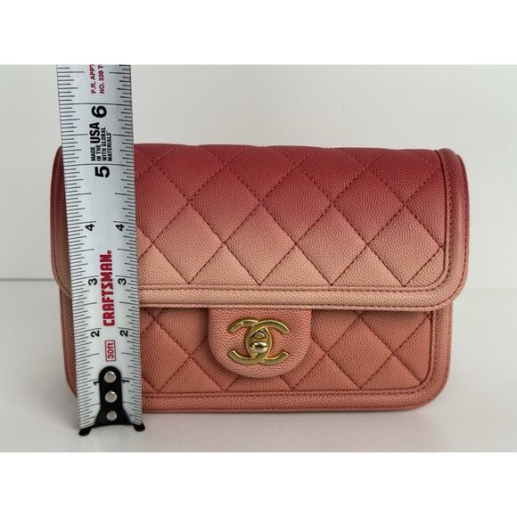 Chanel Caviar Quilted Sunset On The Sea Waist Bag – Coral with Gold Hardware C-1 - Picture 15 of 16